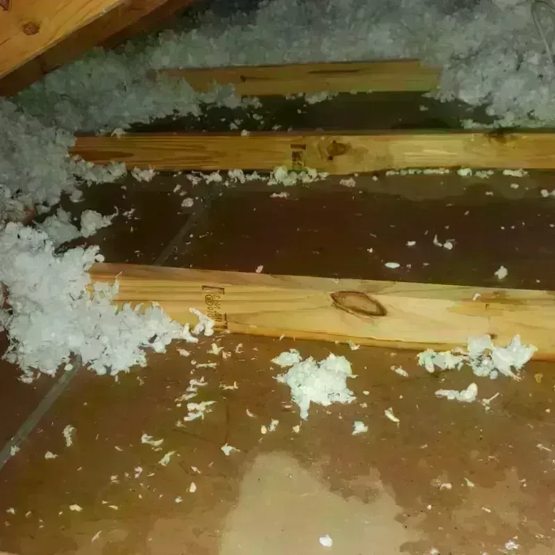 Attic Water Damage in Armour, SD