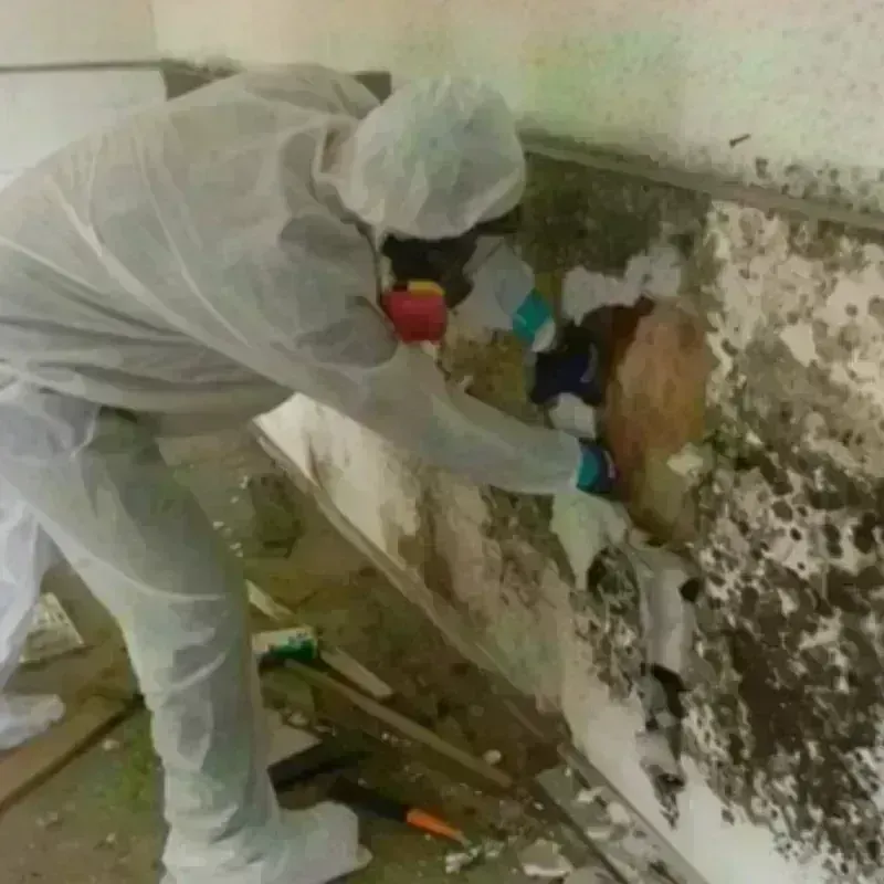 Mold Remediation and Removal in Armour, SD